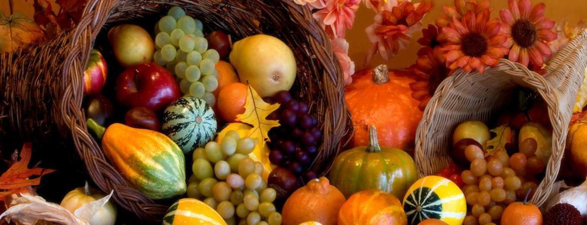 Thanksgiving cornucopia fall harvest friuts hd wallpaper 854733